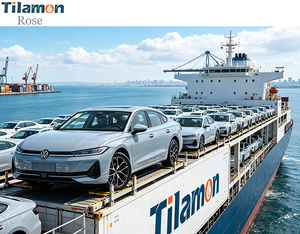 Venta al por Mayor de Volkswagen EPro 2026 Edición Flagship Híbrido Enchufable, Sedán de Cuatro Puertas y Cinco Asientos - Product Image 2