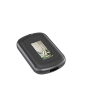 Traceur GPS pour animaux de compagnie AirTag compatible avec l'application Localiser d'Apple, localisateur de clés AirTag, écran à encre électronique, fonction Localiser