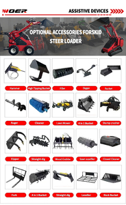 Woer gratis pengiriman murah Diesel Ce Epa mesin selip pemuat kemudi mesin kecil Cina selip roda kemudi untuk dijual - Product Image 3