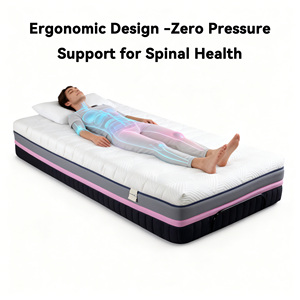 Toptan Modern 3D Memory Pamuklu Yatak Lüks Anti Alerjik Nefes Alabilen Formaldehitsiz Okul Ev Mobilyası Otel Yatak Odası - Product Image 3