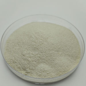 उच्च शुद्धता उच्च गुणवत्ता वाले कृषि ग्रेड प्राकृतिक चिटिन पाउडर - Product Image 4