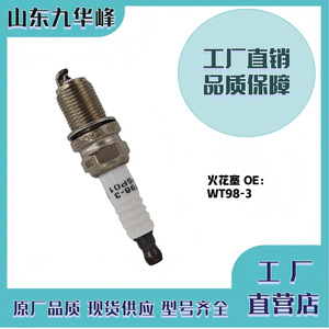 Bougie d'allumage Iridium Torch WT98-3 pour moteurs à essence, norme chinoise VI - Product Image 5