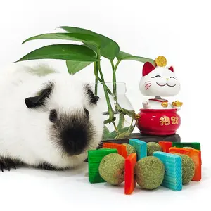 优质兔豚鼠宠物小动物出牙咀嚼玩具磨牙食品仓鼠宠物兔编织咀嚼柳枝草