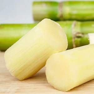 Canna da Zucchero Verde di Taoshan Appena Tagliata 1 Scatola 2,5kg Buccia Sottile Croccante Succosa Dolce Lunga Spedita tramite SF Express Cina - Product Image 2