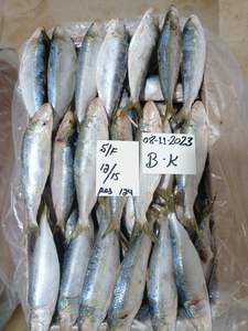 أسماك سردين مجمدة - Product Image 2