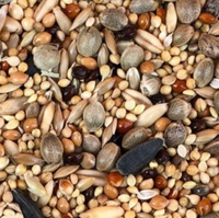 Nutrition naturelle sans grain mélange d'aliments pour animaux de compagnie graines de millet santé pour oiseaux sauvages perruche perroquet pinson canari chatons chiots
