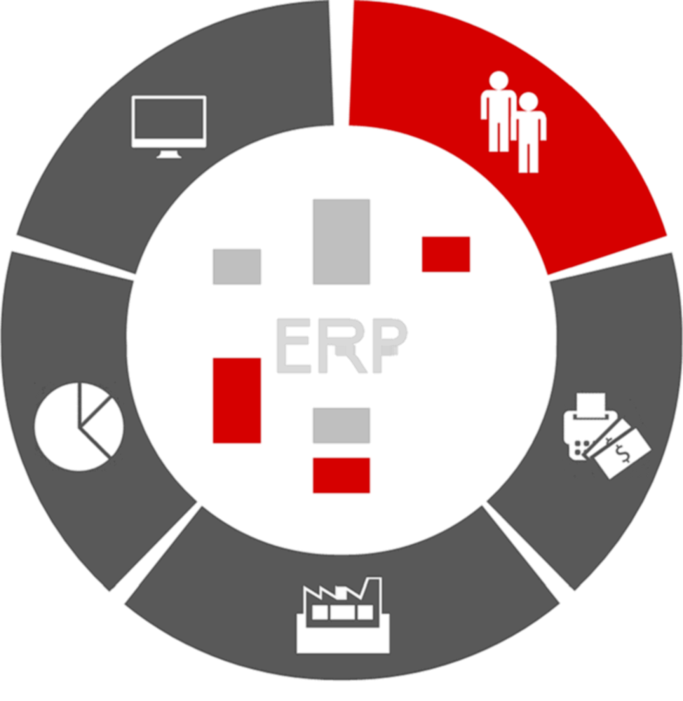 Программное обеспечение ERP