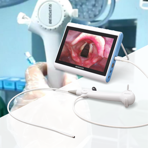 2022 중국 Besdata 의료 장비 유연한 섬유 Rhinolaryngoscope Nasopharyngolaryngoscope 가격 USB 내시경 카메라