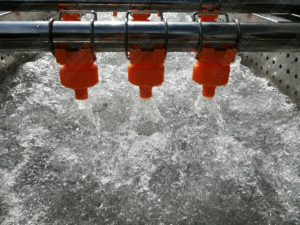 Planta de procesamiento de polvo Ajo Scapes Mango Seashell Lavado - Product Image 5