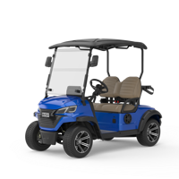 Voiturette de golf électrique 2 places avec batterie au lithium, personnalisable en couleur et logo, nouvelle arrivée, pour parcours de golf et complexe hôtelier