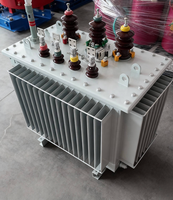 Yüksek Kaliteli 11kV 35kV 50kva 75kva 100kva 250kva 630kVA Üç Fazlı Tamamen Sızdırmaz Yağlı Tip Dağıtım Trafosu
