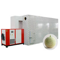 Volledig automatische warmtepomp fruitdroger multifunctionele dehydrator hoog rendement industriële droogmachine