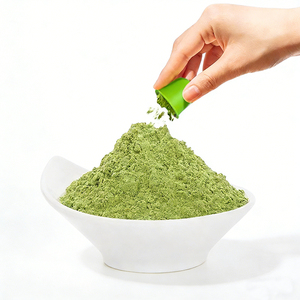 Polvere di Dendrobium Liofilizzata Biologica di Alta Qualità OEM/ODM, Integratore Naturale Puro per Rafforzare il Sistema Immunitario - Product Image 1