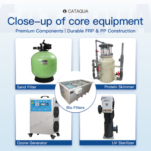 Sistema RAS Intensivo de Acuicultura de Alto Rendimiento para Talapia y Acuaponía para la Acuicultura Comercial de Langostas - Product Image 2