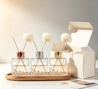 Flacon en verre vide de 100 ml de haute qualité pour diffuseur à bâtonnets d'arômes, idéal pour les huiles essentielles et les liquides d'aromathérapie