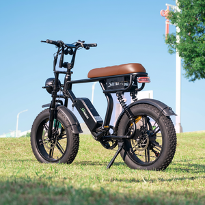 Vélo Électrique V20 PRO en Stock entrepôt UE, V20 Fatbike Freins Hydrauliques, Vélo Électrique V20 48V 500W 250W, Ebike C11 - Product Image 2