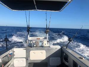 Barco de pesca de aluminio con placa de construcción australiana y CE, bote de pesca con cabina de aluminio de 7,5 m/ 25 pies - Product Image 4