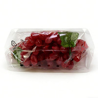 Op maat bedrukte ziplock zakken, plastic ziplock verpakkingszakken, ziplock plastic zakken voor fruit en groenten