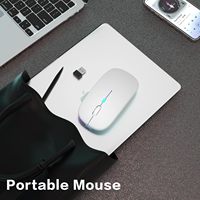Souris de jeu sans fil OEM ultra-légère 1600 DPI avec rétroéclairage RVB rechargeable, ergonomique pour les joueurs sur PC