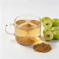 Puur natuurlijk Phyllanthus Emblica Amla fruit Indiaas kruisbes extract poeder Triphala
