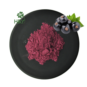 Hot Selling Premium Zwarte Bes Sap Poeder Hoge Kwaliteit Zwarte Bes Fruit Poeder - Product Image 1