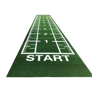 Césped para trineo Césped de <span class=keywords><strong>hierba</strong></span> artificial para gimnasio interior <span class=keywords><strong>Pista</strong></span> de trineo para correr - Product Image 4