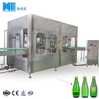 Chaîne de production CE entièrement automatique pour le remplissage et le capsulage de jus de fruits, la pasteurisation à chaud, l'étiquetage et le thermoformage pour bouteilles PET et en verre