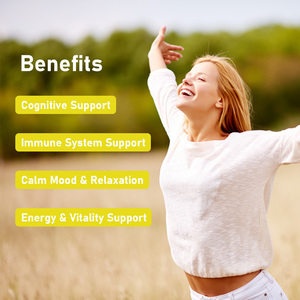 OEM ODM Flavored Mushroom Complex Gummies Vitality Mental Clarity <b>Supplements</b> Cognitive Adults Dosage form Gummies - Product Image 4