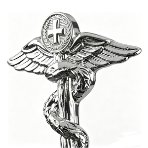 Badge en métal personnalisé, croix ailée de caducée médical en relief 2D, pour l'honneur du personnel médical, broche souvenir - Product Image 3