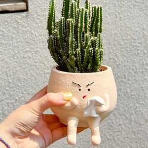 Jardinière <span class=keywords><strong>de</strong></span> succulentes en forme <span class=keywords><strong>de</strong></span> méchant <span class=keywords><strong>de</strong></span> dessin animé écologique en résine enduite d'époxy légère durable pour créatif et intéressant - Product Image 4