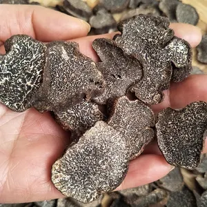 중국 야생 송로 버섯 detan 수출 말린 윈난 송로 버섯 조각 도매 가격