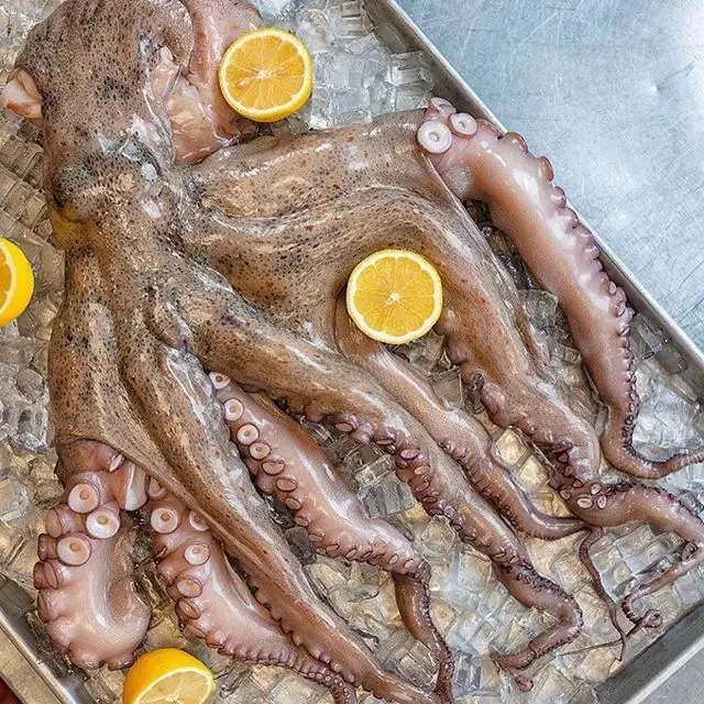 Octopus Live Frische Gefrorene Gereinigt Baby Octopus Gefrorene lange-bein Entkernt 200-300g,300-500g