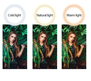 10 pulgadas 3200-5600k de selfie led anillo de luz con trípode y teléfono titular <span class=keywords><strong>maquillaje</strong></span> Video - Product Image 3