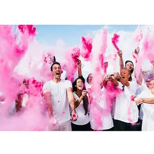 Factory sale various widely used colorful smoke gender reveal cannon powder