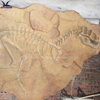 Haichuan accessoires de décoration murale de fossiles de dinosaures en fibre de verre grandeur nature personnalisés pour l'exposition de musée réplique de squelette de dinosaure