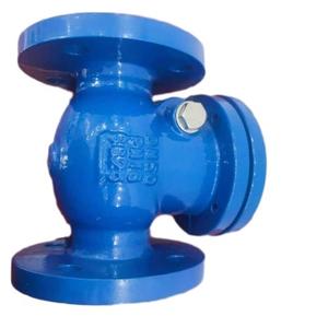 Válvula de Retención de Brazo Oscilante con Cuerpo de Hierro Fundido DIN PN16 - Product Image 1