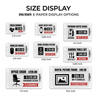 Label Rak Elektronik ESL Grosir 3.52 3.5 2.13 2.66 4.2 Inch, Label Harga Digital Epaper untuk Supermarket