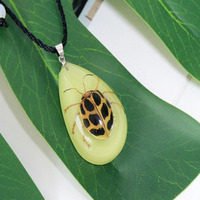 Collier en résine transparente tendance qui brille dans le noir, insecte naturel, ambre