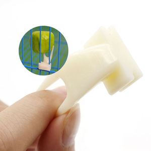 Fourchettes à fruits et légumes pour oiseaux, accessoires pour petits oiseaux et perroquets, support alimentaire de forme ronde avec fente pour carte, fournitures pour cage à oiseaux - Product Image 3