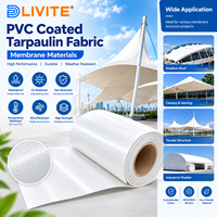 Tentes de toit en bâche PVC enduite à structure membranaire, auvent extensible, tissu flexible, matériau d'architecture moderne