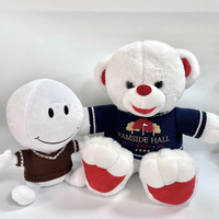 Vente en gros de vêtements pour peluches personnalisées avec pull en tricot, broderie de poupée, pour cadeaux d'événements d'entreprise, destinés aux marcheurs B2B