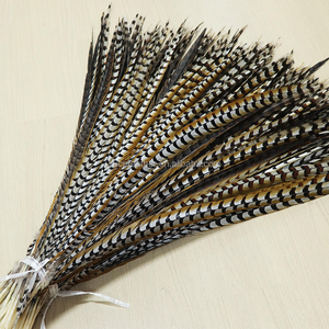 Plumes de queue de faisan collier naturelles longues en gros pour la pêche à la mouche, la fabrication de leurres, la décoration en vrac, les costumes de carnaval. - Product Image 6