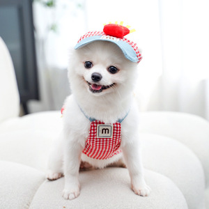 Hiçbir çekme özel köpek kedi koşum Pet için Set, ucuz ayarlanabilir lüks tasarımcı köpek koşum özel Oem Logo Pet malzemeleri - Product Image 2