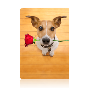 Organizer stasioner kustom <span class=keywords><strong>Notebook</strong></span> Hardcover besar jurnal murah kustom - Product Image 4