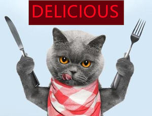 85 גר 'מדע דיאטה סין לקנות חתול טונה רוטב רטוב בתפזורת פירות ים חיות מחמד שמנת לטפל בכלב בשר טחון מחמד - Product Image 6