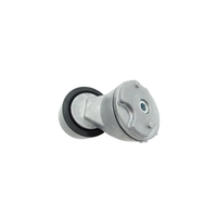 Ròng rọc căng dây curoa động cơ cho Mercedes-Benz LK / LN 2 ATEGO 9062004570