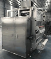 Machine VFFS automatique pour sachets plastiques de 10g à 5kg (sauce, mayonnaise, vinaigrette, jus, lait) avec étiquetage haute productivité