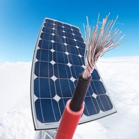 Tüv einzigen twin core 2,5 mm2 4mm2 6mm2 10mm2 10awg 12awg 14awg solar energie system draht kabel