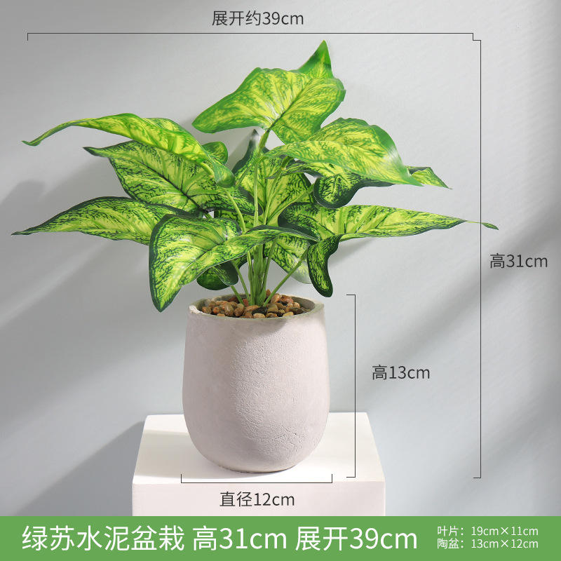 Bassin de ciment nordique vert su