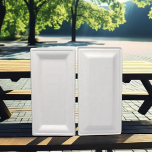 จานอาหารแบบใช้แล้วทิ้งสำหรับงานปาร์ตี้ชุดอุปกรณ์งานปาร์ตี้ที่ใช้งานง่าย - Product Image 2